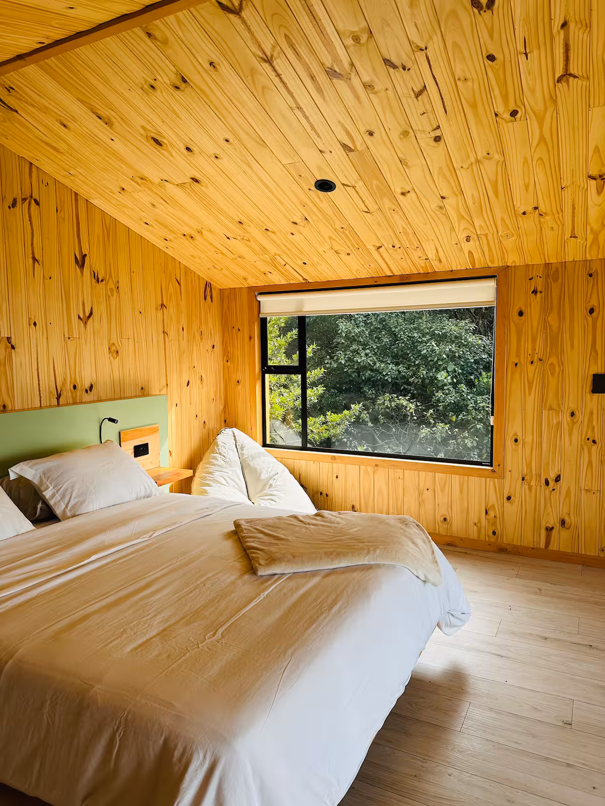 Armadillo cabin photo 2