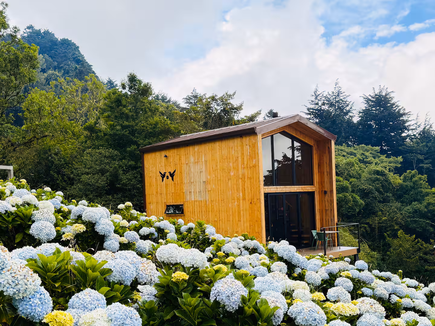 Colibri cabin